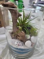 [진로탐색동아리] 원예치료사